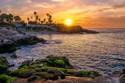 7 Things to Do, See, and Eat in La Jolla