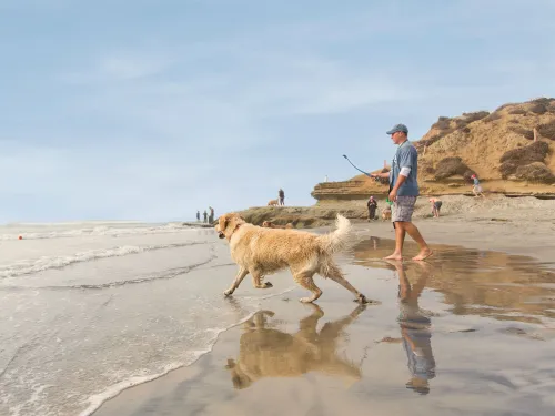 A man walks a golden retriever on a sandy beach near the water’s edge; cliffs and a few people are visible in the background under a clear sky.
