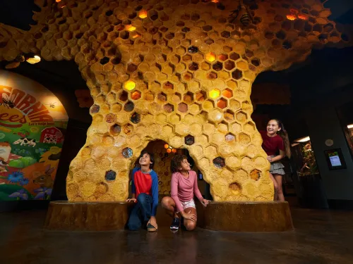 Three children explore a large, artificial honeycomb structure in an interactive indoor exhibit with bee-themed decorations at the Zoo in San Diego.