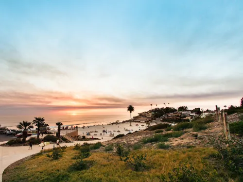 People walk along a path overlooking a Moonlight beach in Encinitas at sunset, with palm trees, parked cars, and houses visible in the background under a partly cloudy sky.