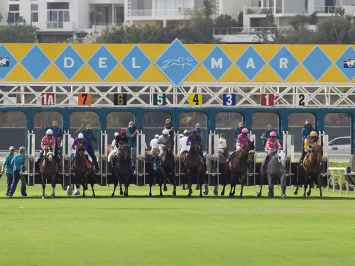 Thoroughbred horses and jockeys leave the starting gate at Del Mar Racetrack in San Diego, beginning a turf race with numbered gates visible.