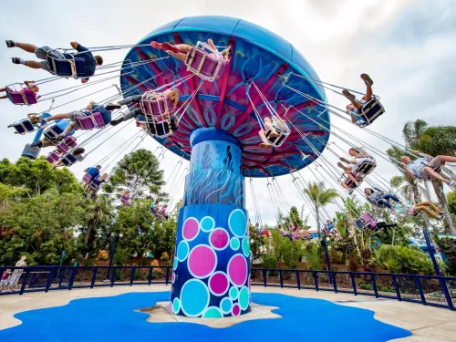 A colorful swing ride spins people through the air at an amusement park, with trees and palm trees in the background.