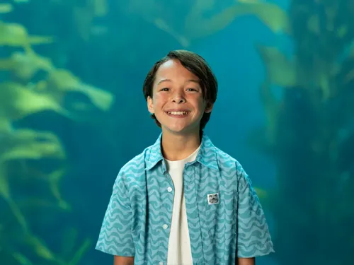 Young boy in front of an tank of marine life at Birch Aquarium in San Diego, CA