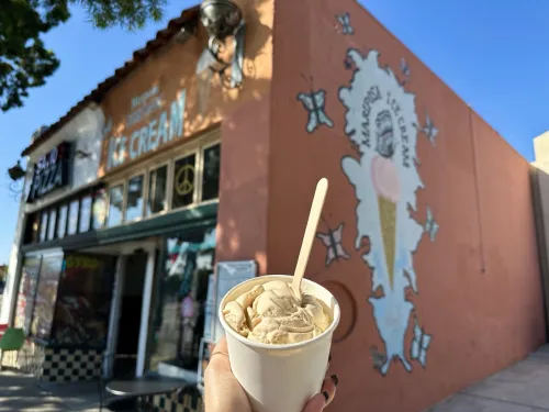 Ice cream in a cup held outside of Mariposa Ice Cream off Adams Ave in Normal Heights neighborhood of San Diego, CA