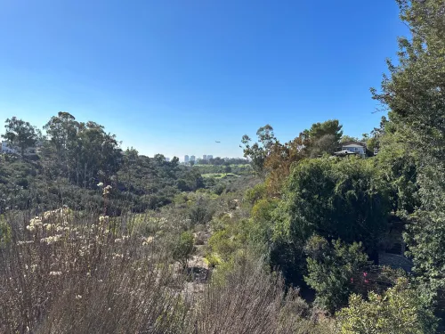 A view of Switzer Canyon in the beautiful North Park neighborhood of San Diego, showing green foliage and a clear blue sky as well as the city skyline in the distance.