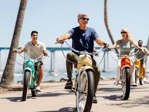 1800x734 article_ebikes.jpg