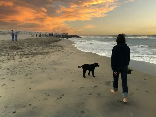 Dog and owner walk along the shoreline at Dog Beach in Ocean Beach, San Diego, under an sunset sky with the ocean and pier ahead.
