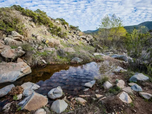 A view of a rocky stream in San Diego's Mission Trails Regional Park.
