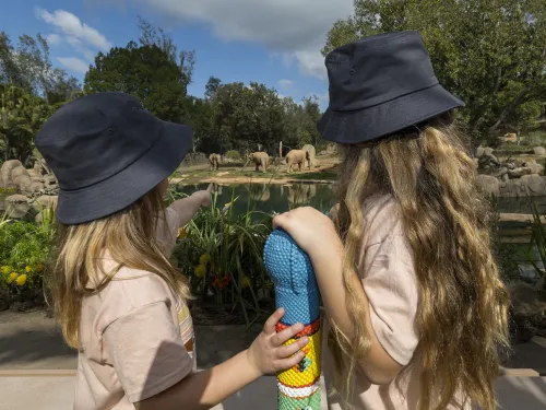 Two children standing at an overlook in Elephant Valley at the San Diego Zoo Safari Park, pointing toward a group of elephants roaming across a wide, natural habitat with water, rocks, and trees under a bright blue sky.