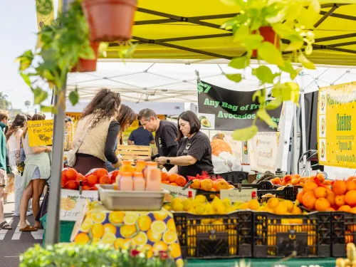 A vibrant farmers market stall with fresh fruits and customers engaging with vendors.