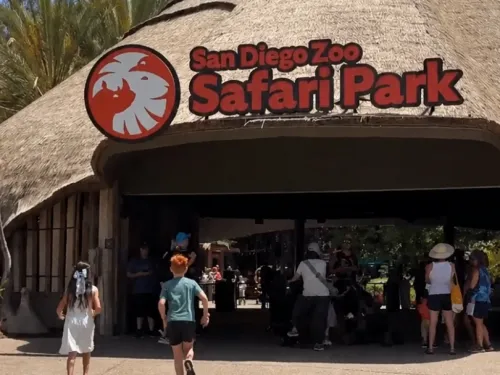 Visitors entering the San Diego Zoo Safari Park through a thatched-roof entrance.