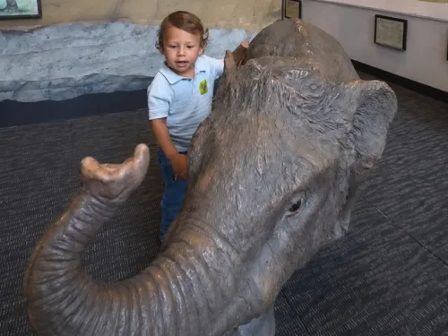 A child interacts with a life-sized elephant sculpture in a museum setting.