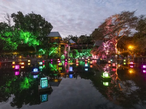Colorful lanterns float on a serene lake, surrounded by vibrant lights and trees at dusk during the Autumn Festival at the San Diego Zoo Safari Park.