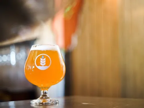 San Diego Breweries Beer Fans are Talking About