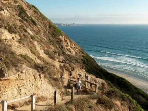 Cliff of Torrey Pines overlooking the beach in San Diego, CA
