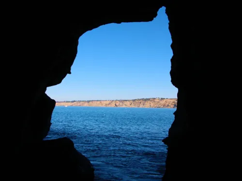 5. San Diego's 7 Natural Wonders