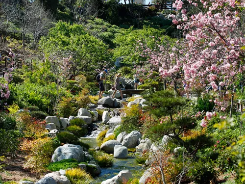 Japanese Friendship Garden