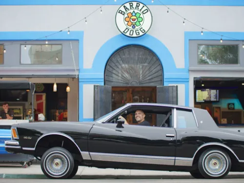 What is Barrio Dogg: