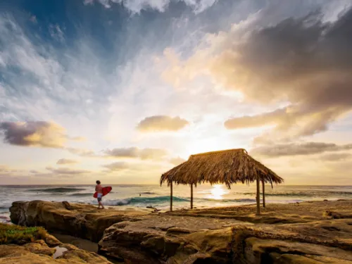 Windansea Beach Surf Shack 