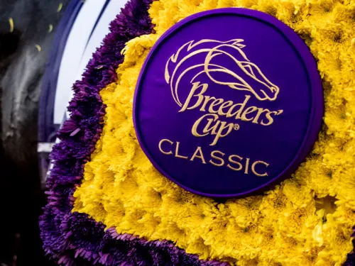 13. 2017 Breeders' Cup World Championship