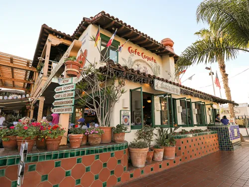 Tacos and Margaritas at Cafe Coyote