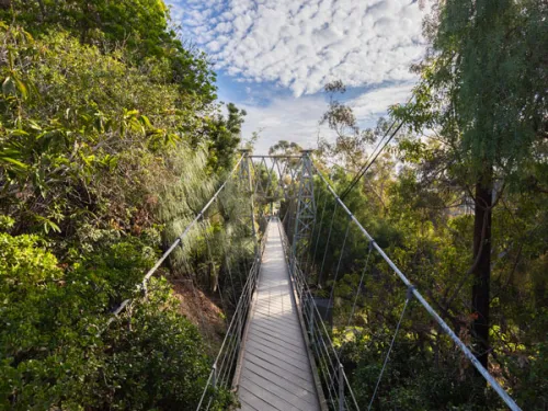 The Bridges of Balboa Park