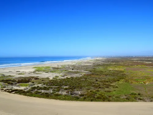 Green wetlands near the ocean at Tijuana River Estuary in San Diego, CA
