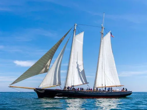 AC Sail Expert
