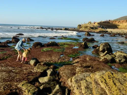 Awesomeness Under the Surface