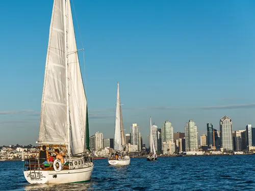 Sailboats from San Diego Sailing Tours on San Diego Bay heading towards the Downtown San Diego skyline