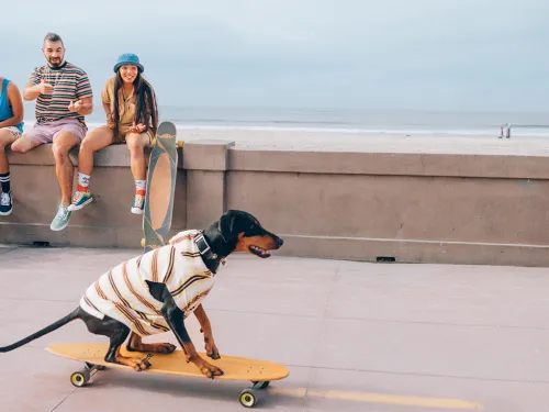 San Diego: Dog (and human) Friendly