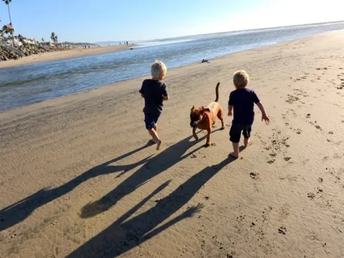 Del Mar Activities