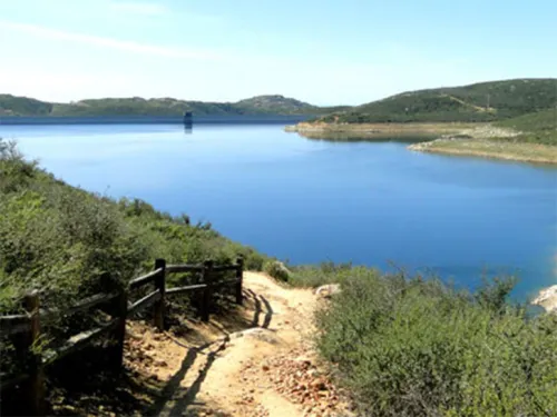 Elfin Forest