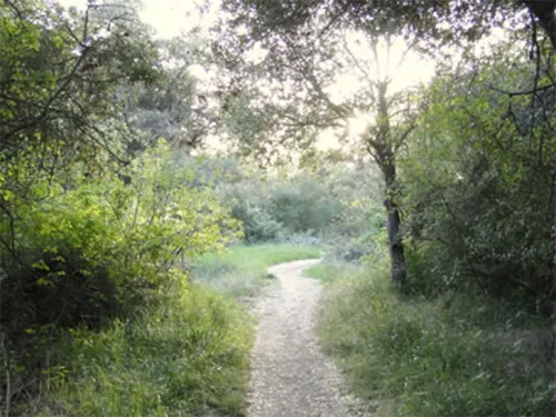 Penasquitos Canyon