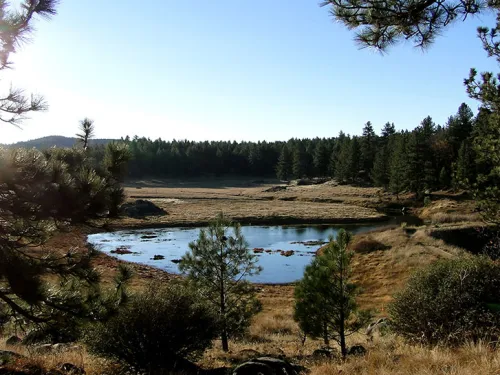Sunset Trail, Laguna Mountains