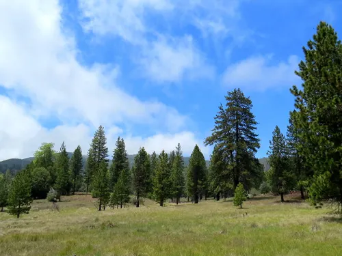 LOWER DOANE & FRENCH VALLEY, PALOMAR MOUNTAIN STATE PARK