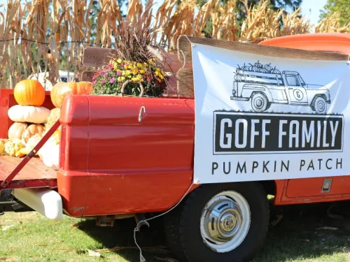 Goff Family Pumpkin Patch at Liberty Station