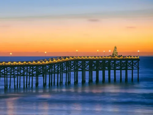 Christmas Tree Trail