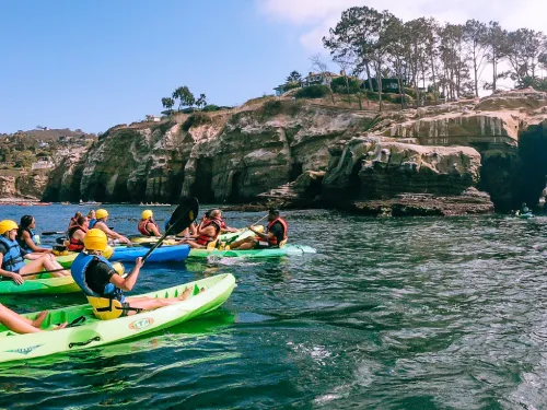 Explore La Jolla on a Kayak Tour