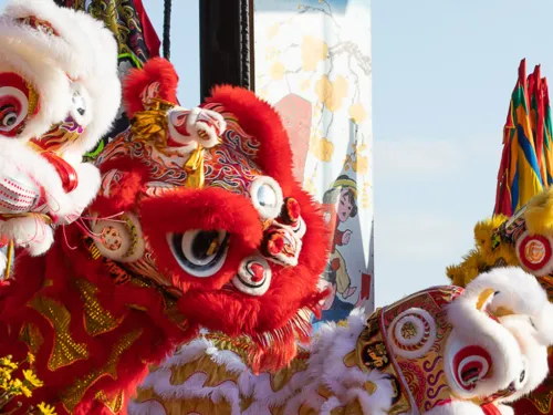 Discover the Magic of Lunar New Year 