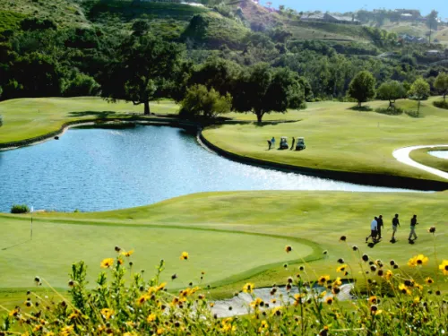 Wildflowers along the course of Maderas Golf Club with golfers playing in the distance next to a pond