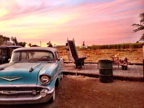 Mountain Valley Ranch Pumpkin Patch