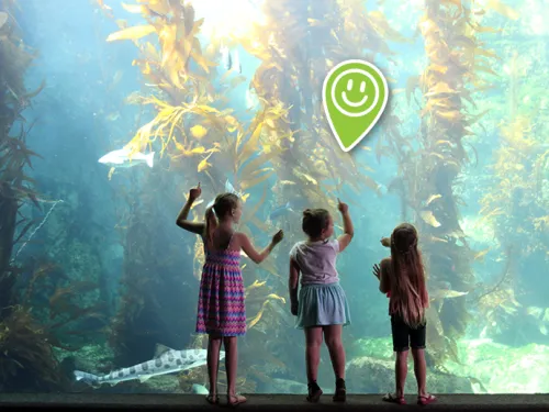 A Haven for Sea Life