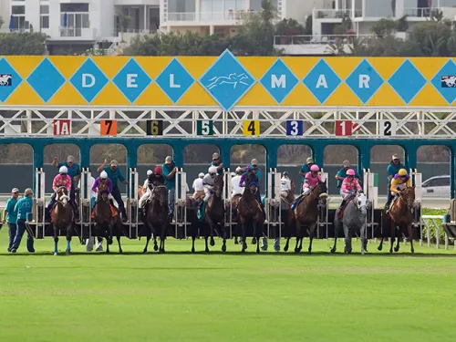 Thoroughbred Racing at the Del Mar Racetrack