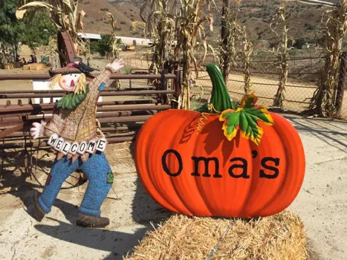 Oma's Pumpkin Patch