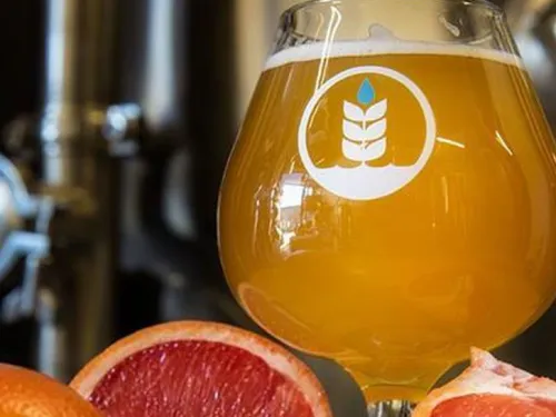 Pure Brewing Project