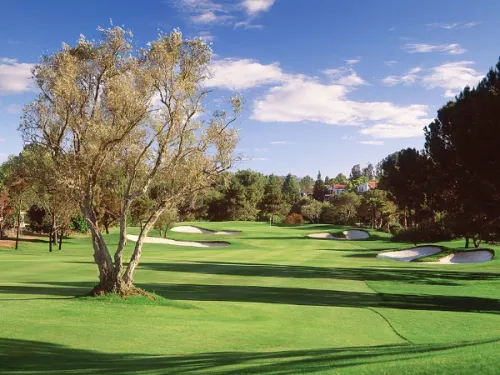 Yellow tree and bigger trees surrounding The Golf Course at the Rancho Bernardo Inn
