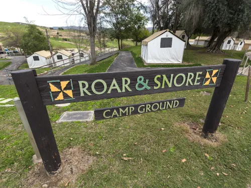 Roar 'n' Snore Safari_