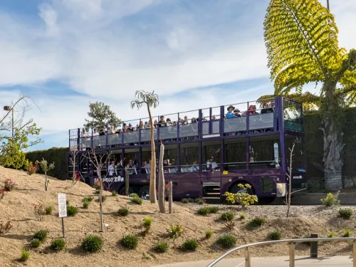 Accelerator Program Benefits