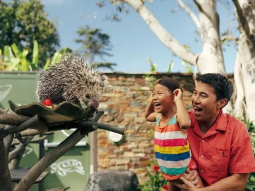Girl being held by her dad to see a porcupine up close at the San Diego Zoo